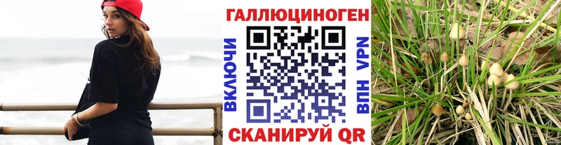 Псилоцибиновые грибы GOLDEN TEACHER  блэк спрут ССЫЛКА  Павловск 